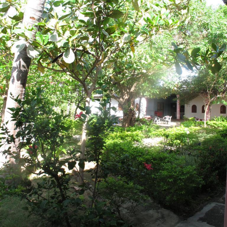 Shahira Hotel نيلافيلي المظهر الخارجي الصورة